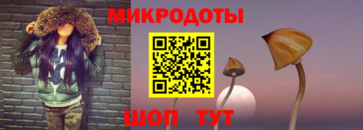 Гай  Псилоцибиновые грибы Magic Shrooms  продажа наркотиков  Вход с VPN 