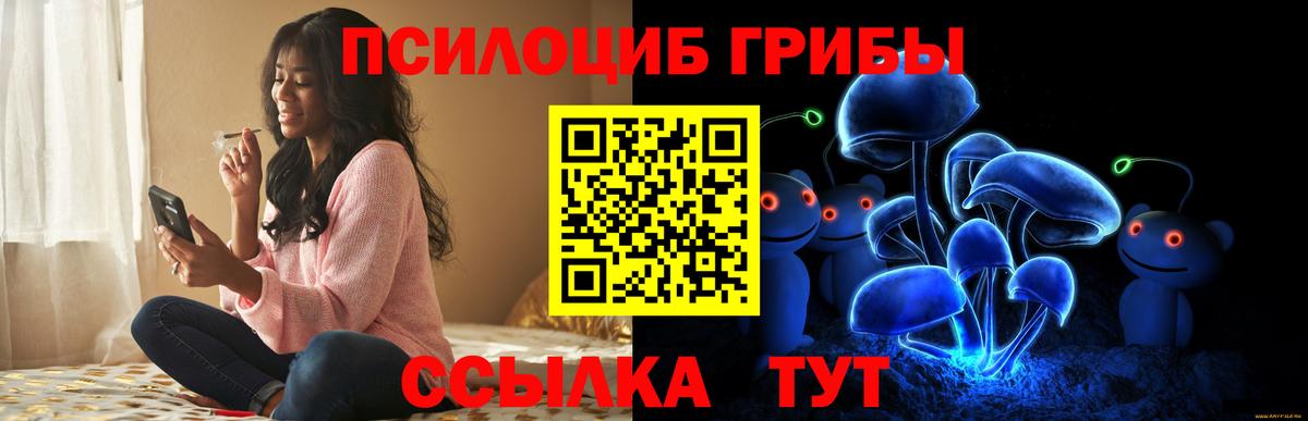 Галлюциногенные грибы прущие грибы Гай